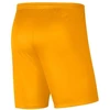 Nike Park III Knit Jr BV6865-739 Šortai
