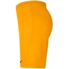 Nike Park III Knit Jr BV6865-739 Šortai