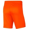 Nike Park III Knit Jr BV6865-819 Šortai