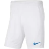 Nike Park III M BV6855 104 šortai