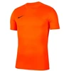 Nike Park VII M BV6708-819 Marškinėliai