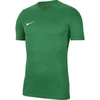 Nike Park VIII Vaikiškas Marškinėliai HV8182-302