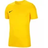 Nike Park VIII vaikiški marškinėliai HV8182-719