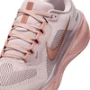 NIKE PEGASUS 41 (FD2723-604)