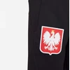 Nike Poland Strike Jr DM9600-010 Kelnės