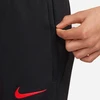 Nike Poland Strike Jr DM9600-010 Kelnės