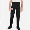 Nike Poland Strike Jr DM9600-010 Kelnės