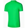 Nike Polo Akademija 23 M DR1346-329