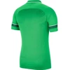 Nike Polo Dry Academy 21 M CW6104 362