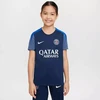Nike PSG Strike Marškinėliai vaikams HJ7836-411