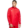 Nike RPL Park 20 RN JKT striukė Vyrams BV6881-657
