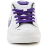 Nike Sb Force 58 DV5477-006 PHANTOM/COURT PURPLE-SUMMIT Baltas
