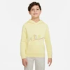 Nike Sportswear Jr DX5087-706 džemperis