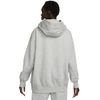 Nike Sportswear Phoenix Fleece Moteriškas džemperis DQ5860-063