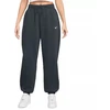 Nike Sportswear Phoenix Fleece moteriškos kelnės FZ5996-391