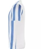 Nike Striped Division IV M CW3813-103 Futbolo marškinėliai