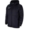 Nike Team Park 20 Fall Striukė M CW6157-451