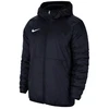 Nike Team Park 20 Vaikams Striukė CW6159-451