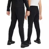 Nike Therma-FIT Akademija M FJ6182-010 Kelnės