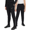 Nike Therma-FIT Akademija M FJ6182-010 Kelnės