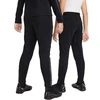 Nike Therma-FIT Akademija M FJ6182-010 Kelnės