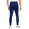 Nike Therma-Fit Strike Kwpz Winter Warrior M DC9159 492 kelnės