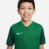 Nike Trophy V Džersio Jaunimo Marškinėliai DR0942-302