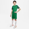 Nike Trophy V Džersio Jaunimo Marškinėliai DR0942-302