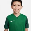 Nike Trophy V Džersio Jaunimo Marškinėliai DR0942-302