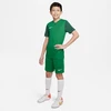 Nike Trophy V Džersio Jaunimo Marškinėliai DR0942-302