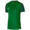 Nike Trophy V JSY M marškinėliai DR0933 302