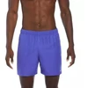 Nike Volley Šortai Vyrams NESSA560 504