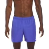 Nike Volley Šortai Vyrams NESSA560 504