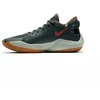Nike Zoom Freak 2 "Bamo" Giannis Antetokounmpo krepšinio batai - DC9853-300