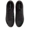 Nike Zoom Vapor 16 Pro FG FQ8685-002 batai