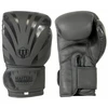 Odines bokso pirštinės Masters RBT-Matinis 12 oz 01333-MATT12