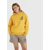 O'Neill Future Surf Society Hoody W 92800613435