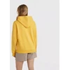 O'Neill Future Surf Society Hoody W 92800613435