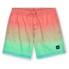 O'Neill Jack Cali Gradient 14'' maudymosi šortai Jr 92800613570