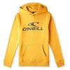 O'Neill Juniorų Hoodis su logotipu 92800615006