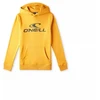O'Neill Juniorų Hoodis su logotipu 92800615006
