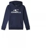 O'Neill Logo Hoodie Jr 92800615001