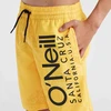 O'Neill Mix & Match Cali Gėlėti 13'' maudymosi šortai berniukams 92800613854