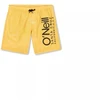 O'Neill Mix & Match Cali Gėlėti 13'' maudymosi šortai berniukams 92800613854