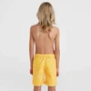 O'Neill Mix & Match Cali Gėlėti 13'' maudymosi šortai berniukams 92800613854