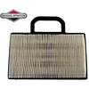 ORO FILTRAS BRIGGS&amp;STRATTON Originali prekė