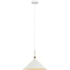 Italux Pakabinamas šviestuvas Drello PND-541101-W