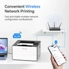 Pantum BP4209DW lazerinė nespalvota spausdintuvas, 30 psl./min, A4, Wi-Fi, automatinis dvipusis spausdinimas
