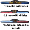 Parkavimo sistema su 4 davikliais