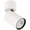 Italux Lubinis šviestuvas SPL-2846-1SC-WH